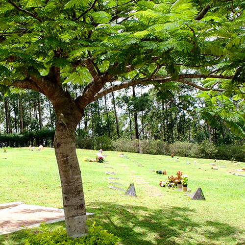 Crematório Memorial Parque Paulista