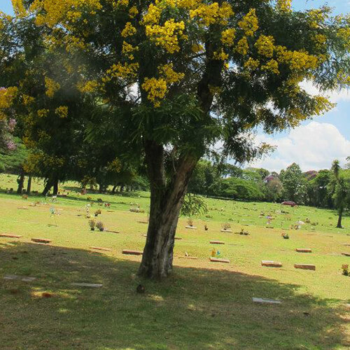 Crematório Primaveras